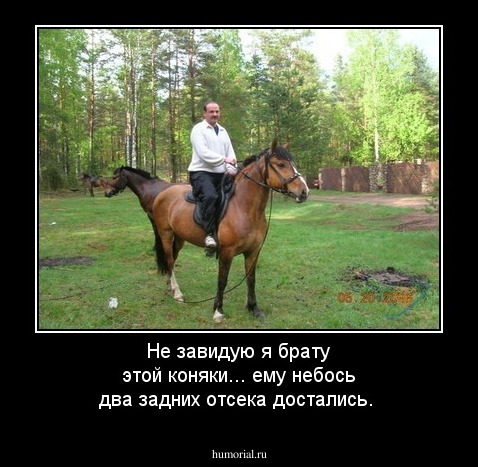 Не завидую я брату этой коняки... ему небось два задних отсека достались.