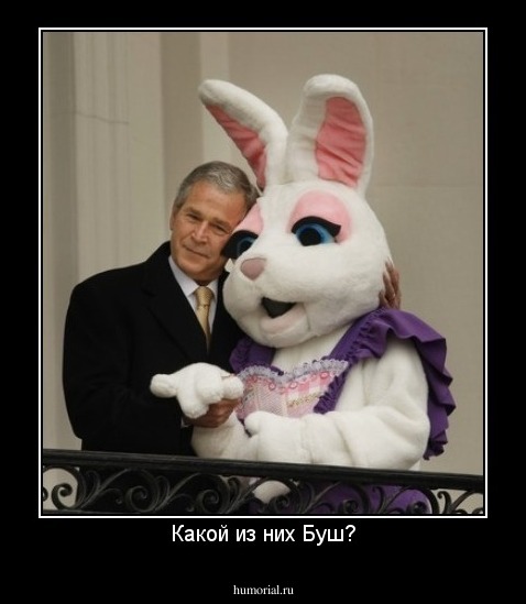 Какой из них Буш?