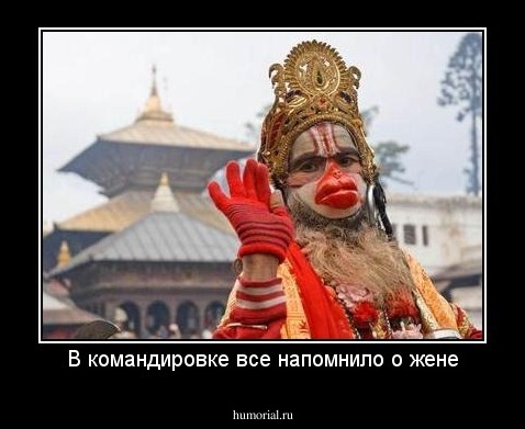 В командировке все напомнило о жене