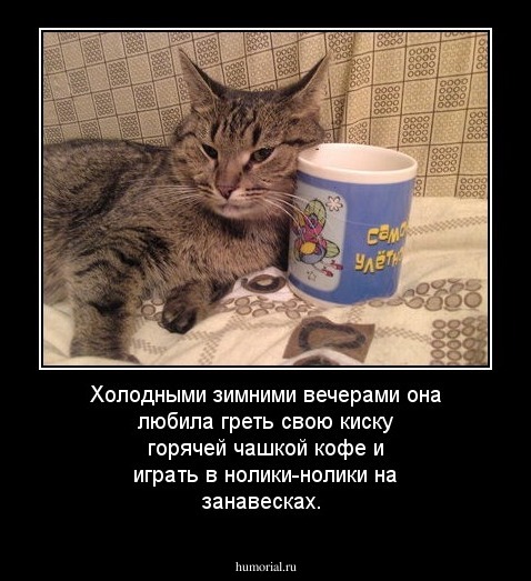 Холодными зимними вечерами она любила греть свою киску горячей чашкой кофе и играть в нолики-нолики на занавесках.