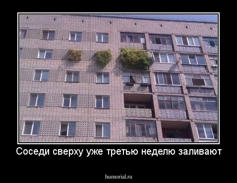 Соседи сверху уже третью неделю заливают
