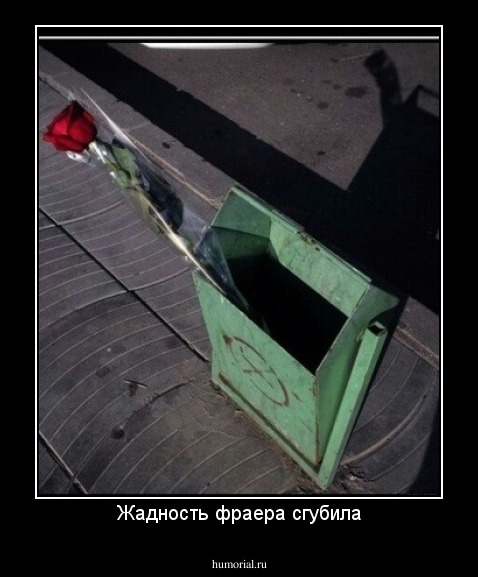 Жадность фраера сгубила