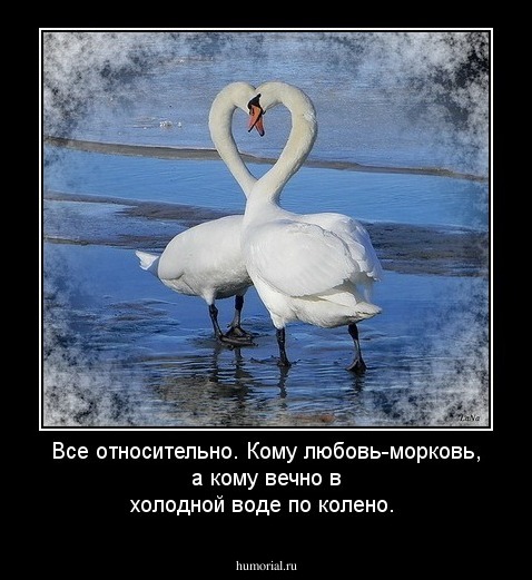 Все относительно. Кому любовь-морковь, а кому вечно в холодной воде по колено.