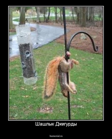 Шашлык Джигурды