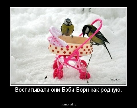 Воспитывали они Бэби Борн как родную.