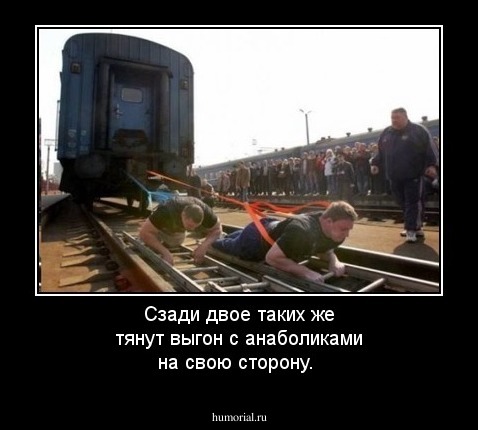 Сзади двое таких же тянут выгон с анаболиками на свою сторону.