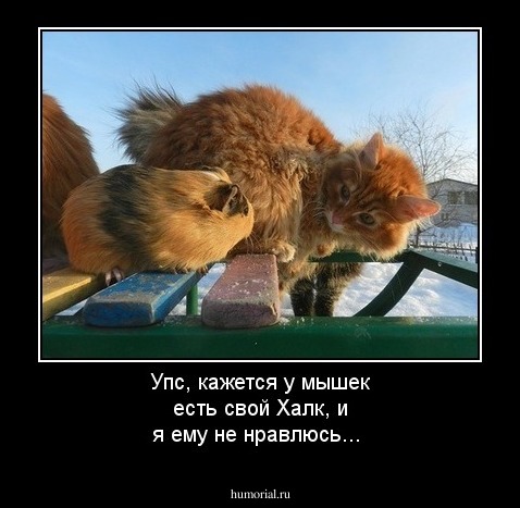 Упс, кажется у мышек есть свой Халк, и я ему не нравлюсь...