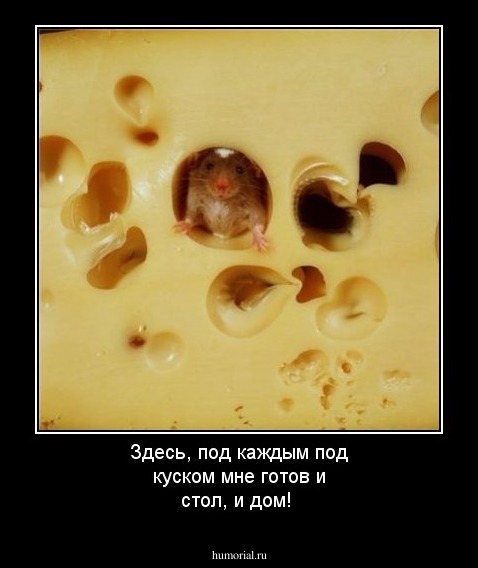 Здесь, под каждым под куском мне готов и стол, и дом!