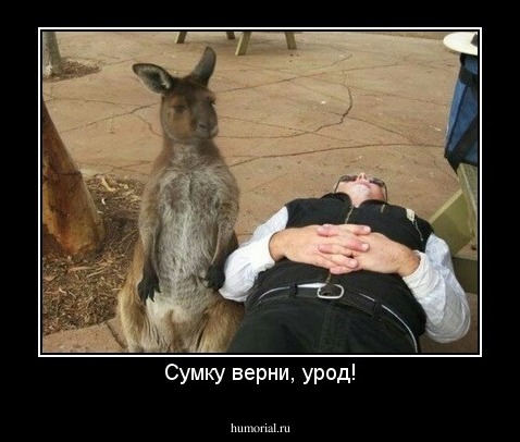 Сумку верни, урод!
