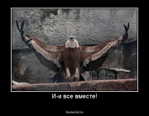 И-и все вместе!