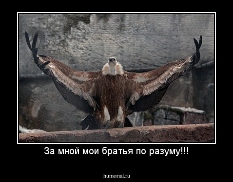 За мной мои братья по разуму!!!