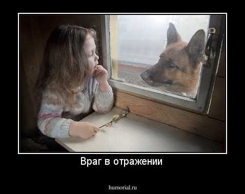 Враг в отражении 