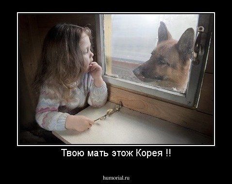 Твою мать этож Корея !!
