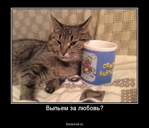 Выпьем за любовь?