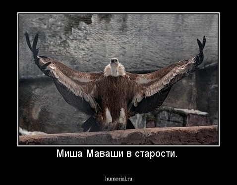 Миша Маваши в старости. 