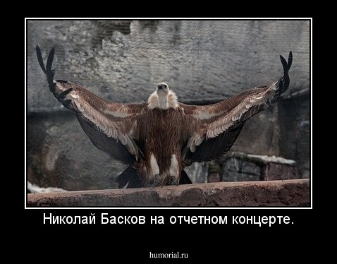 Николай Басков на отчетном концерте.