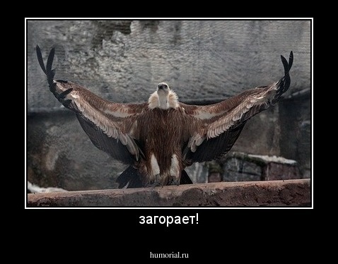 загорает!