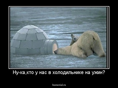 Ну-ка,кто у нас в холодильнике на ужин?