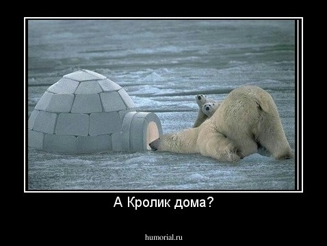 А Кролик дома?