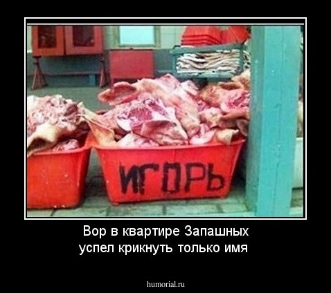 Вор в квартире  Запашных успел крикнуть только имя