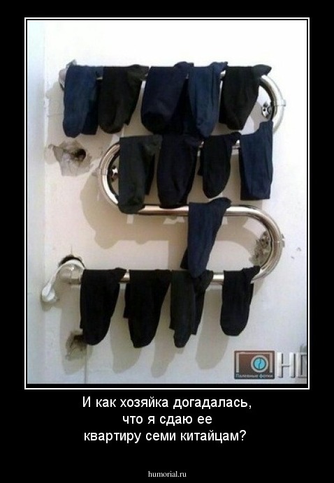 И как хозяйка догадалась, что я сдаю ее квартиру семи китайцам?