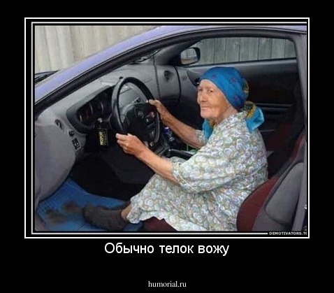 Обычно телок вожу