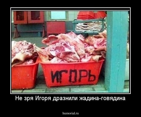 Не зря Игоря дразнили жадина-говядина
