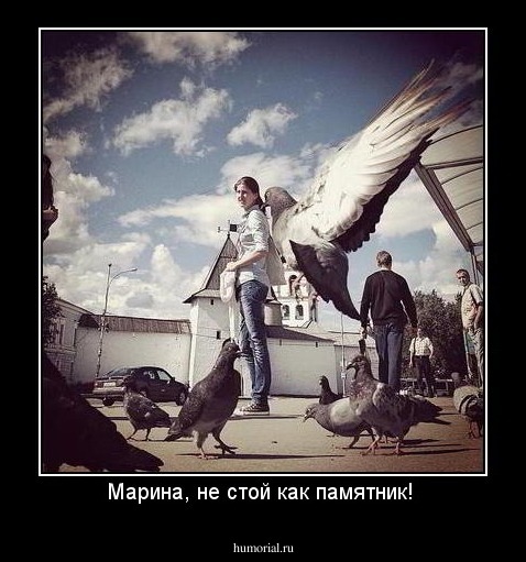 Марина, не стой как памятник! 