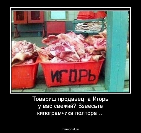 Товарищ продавец, а Игорь у вас свежий? Взвесьте килограмчика полтора...