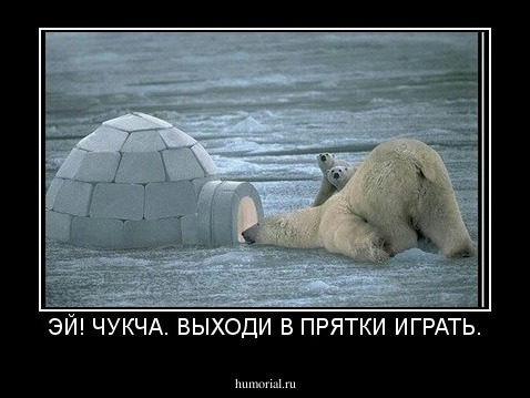 ЭЙ! ЧУКЧА. ВЫХОДИ В ПРЯТКИ ИГРАТЬ.
