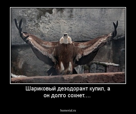 Шариковый дезодорант купил,  а он долго сохнет....