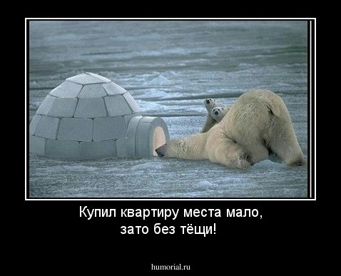 Купил квартиру места мало, зато без тёщи!