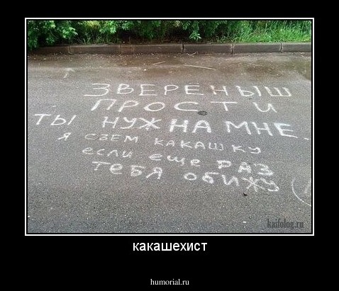 какашехист