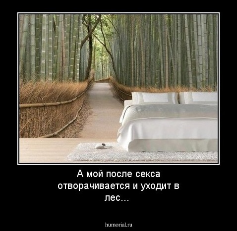 А мой после секса отворачивается и уходит в лес...