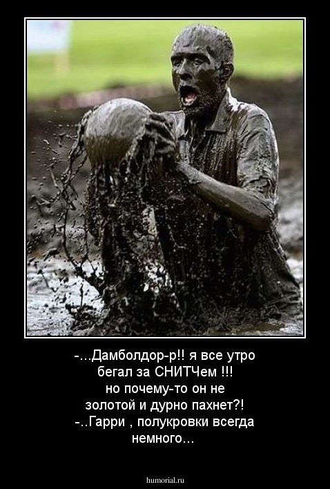  -...Дамболдор-р!! я все утро бегал за СНИТЧем !!! но почему-то он не золотой и дурно пахнет?!
-..Гарри ,  полукровки всегда немного...
