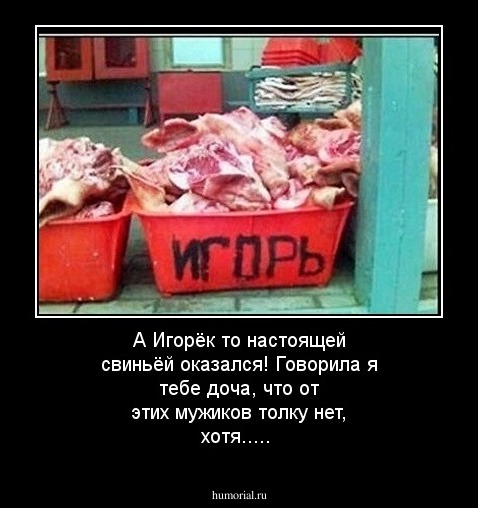 А Игорёк то настоящей свиньёй оказался! Говорила я тебе доча, что от этих мужиков толку нет, хотя.....