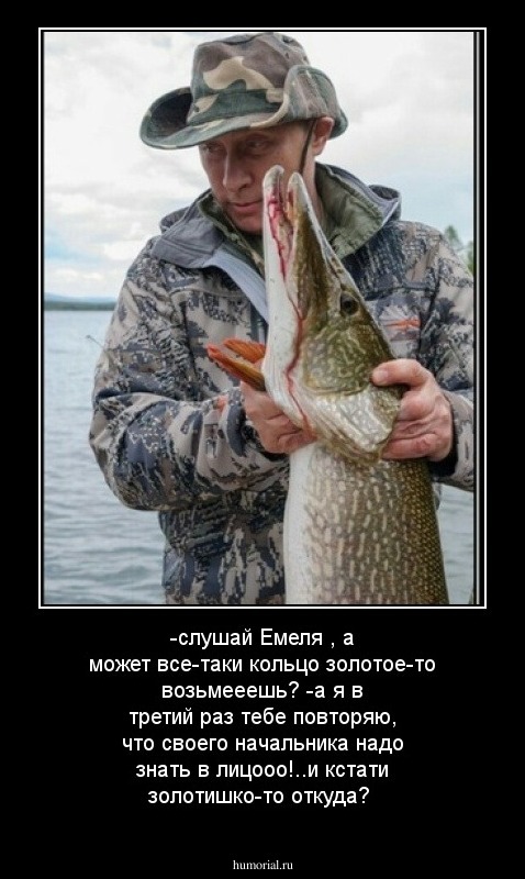 -слушай Емеля , а может все-таки кольцо золотое-то возьмееешь?
-а я в третий раз тебе повторяю, что своего начальника надо знать в лицооо!..и кстати золотишко-то откуда?