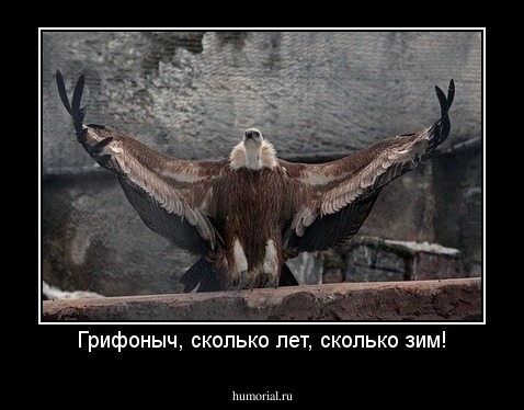 Грифоныч, сколько лет, сколько зим!