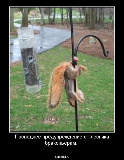 Последнее предупреждение от лесника браконьерам.