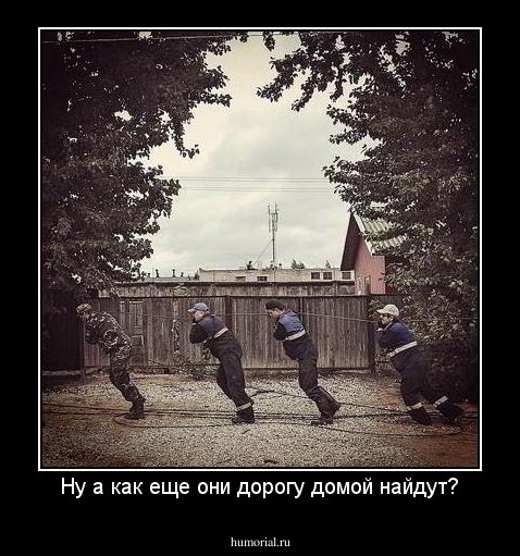 Ну а как еще они дорогу домой найдут?