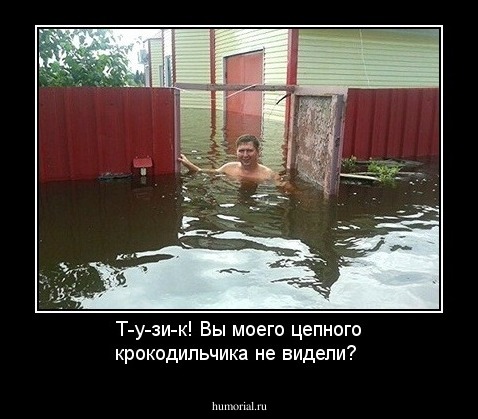 Т-у-зи-к! Вы моего цепного крокодильчика не видели?