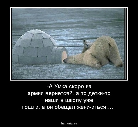 -А Умка скоро из армии вернется?..а то детки-то наши в школу уже пошли..а он  обещал жени-иться.....