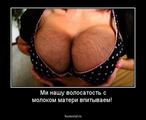 Ми нашу волосатость с молоком матери впитываем!
