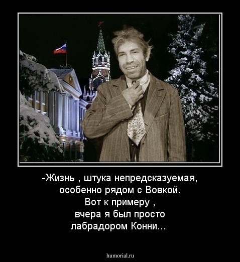 -Жизнь , штука непредсказуемая, особенно рядом с Вовкой. Вот к примеру , вчера я был просто лабрадором Конни...