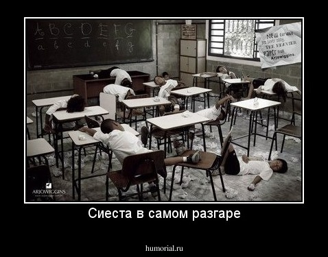 Сиеста в самом разгаре