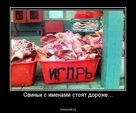 Свиньи с именами стоят дороже...