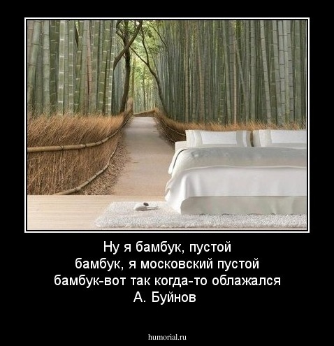 Ну я бамбук, пустой бамбук, я московский пустой бамбук-вот так когда-то облажался А. Буйнов