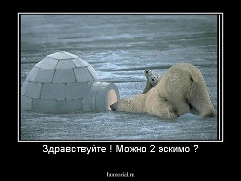 Здравствуйте ! Можно 2 эскимо ?