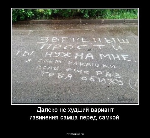 Далеко не худший вариант извинения самца перед самкой