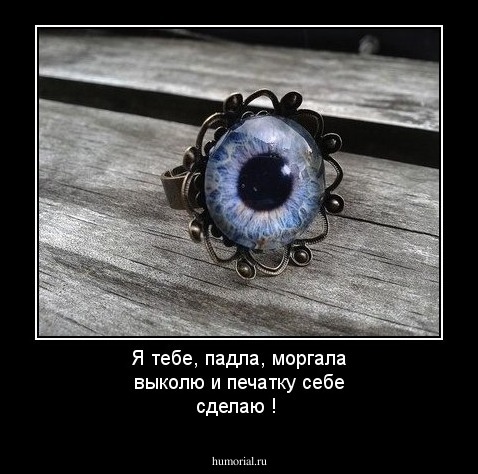 Я тебе, падла, моргала выколю и печатку себе сделаю !